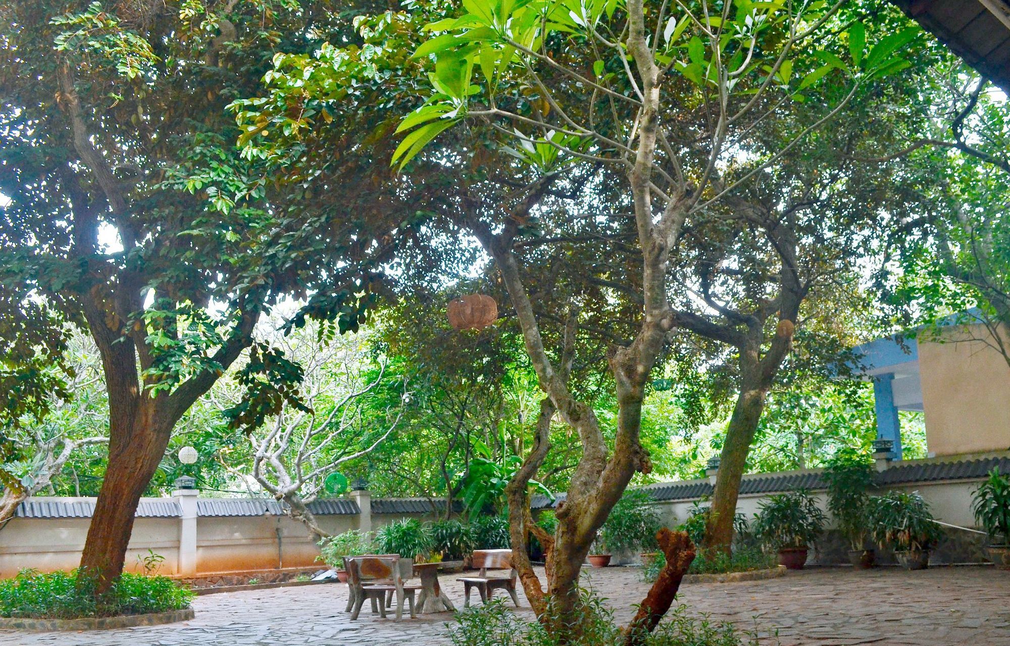 Lam Son Hotel & Apartments Vung Tau Zewnętrze zdjęcie